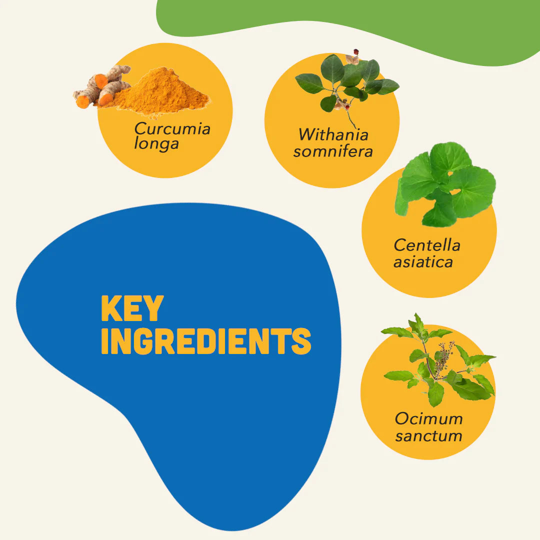 Natural Remedies Smart Bites Chicken Flavor | Soft Dog Treats