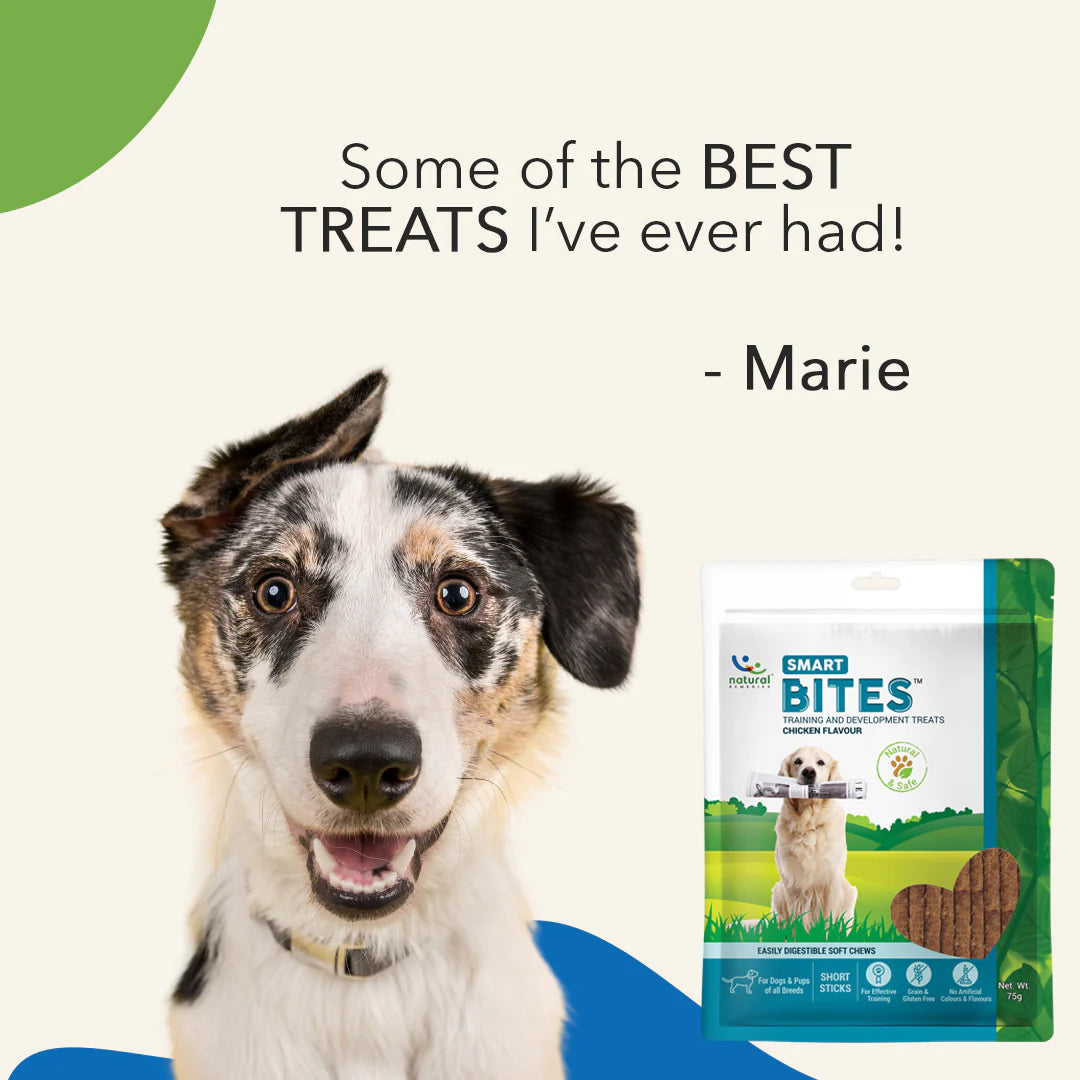 Natural Remedies Smart Bites Chicken Flavor | Soft Dog Treats