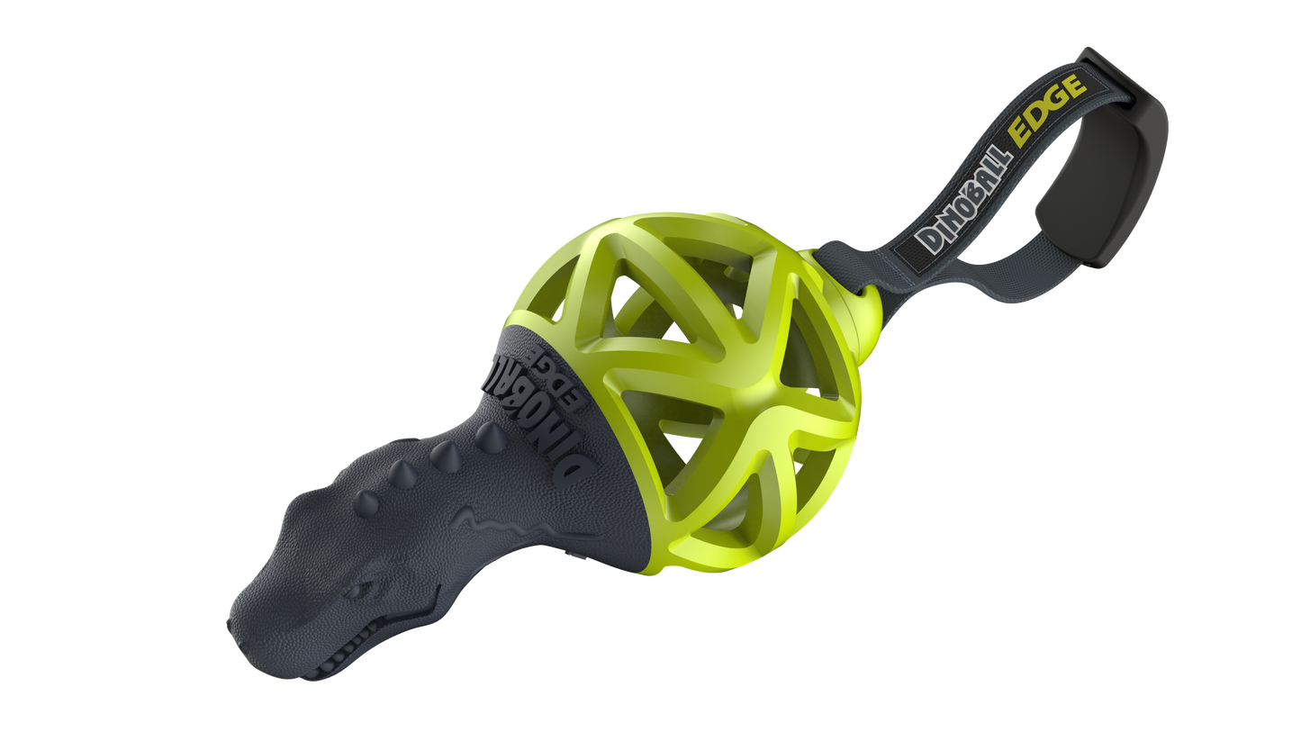 GIGWI Dinoball Edge