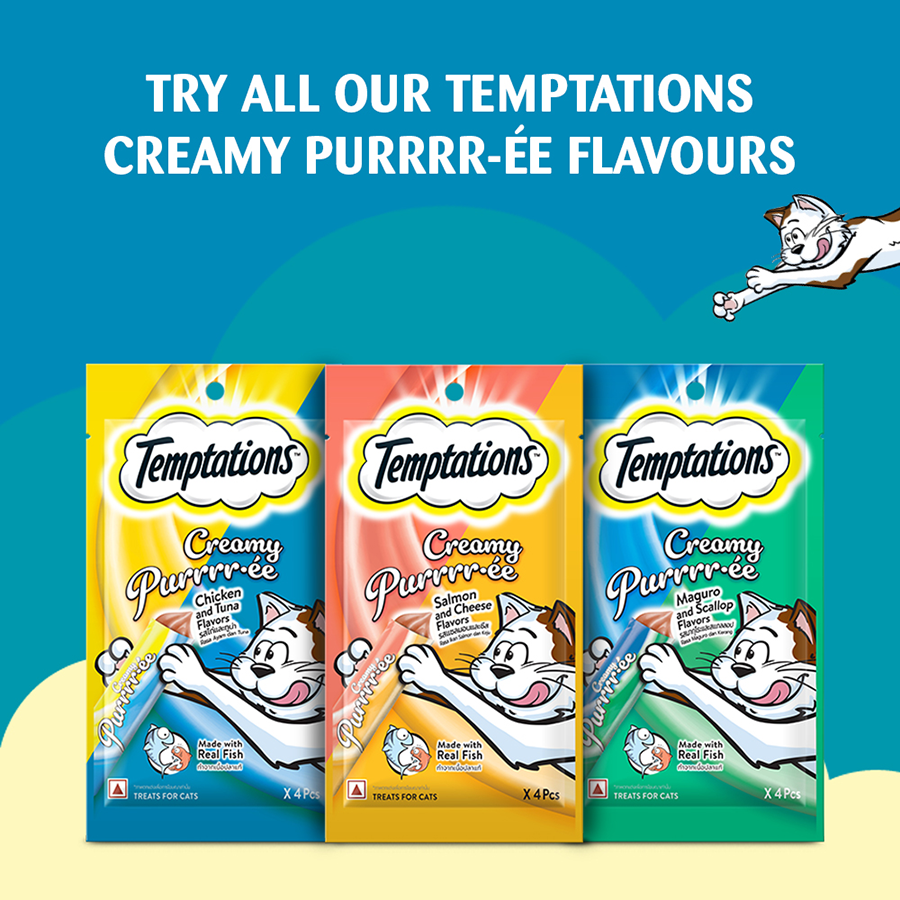 Temptation Creamy Treat Salmon & Cheese - 48 gm | Wet Cat Treats