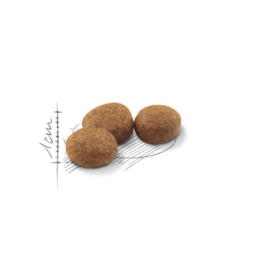 Royal Canin Sterilised 37 | Dry Cat Food