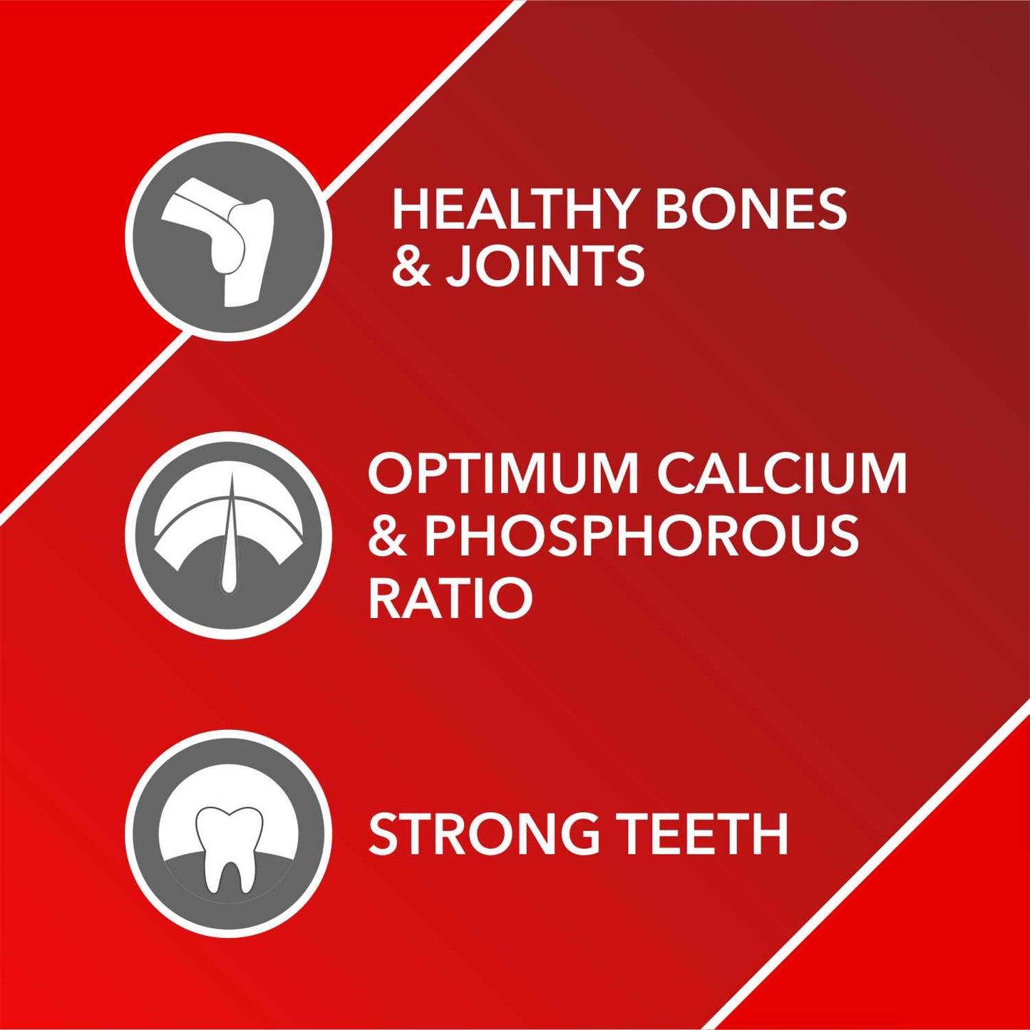 Drools Absolute Calcium Syrup | Dog Suppliments