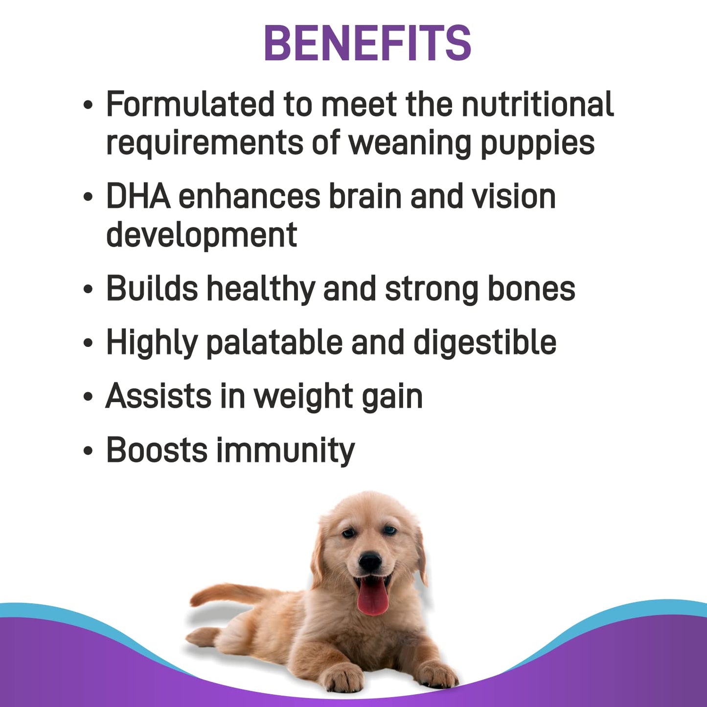 Canine Creek Pup Booster | Dog Food