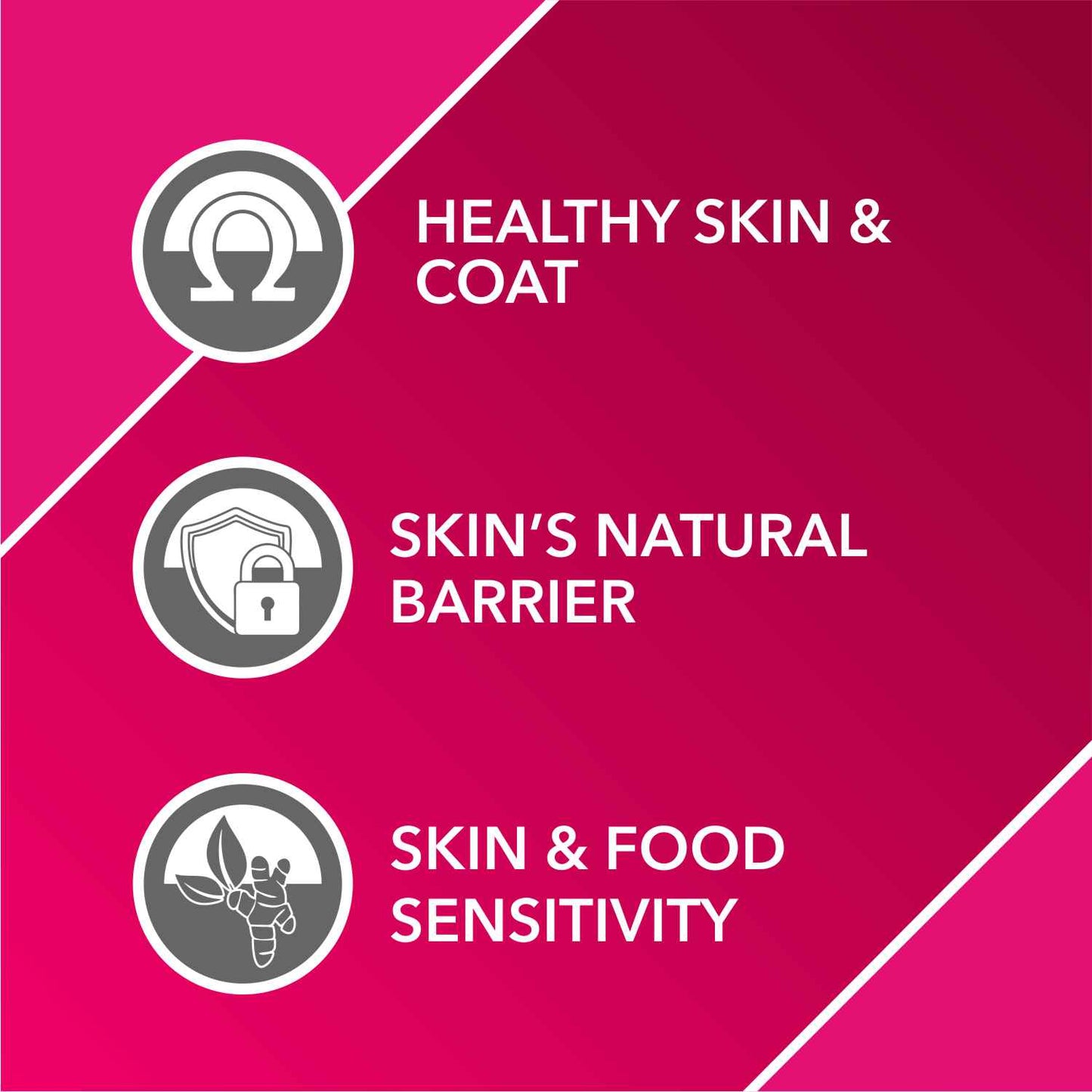 Drools Absolute Skin + Coat Syrup | Dog Suppliments