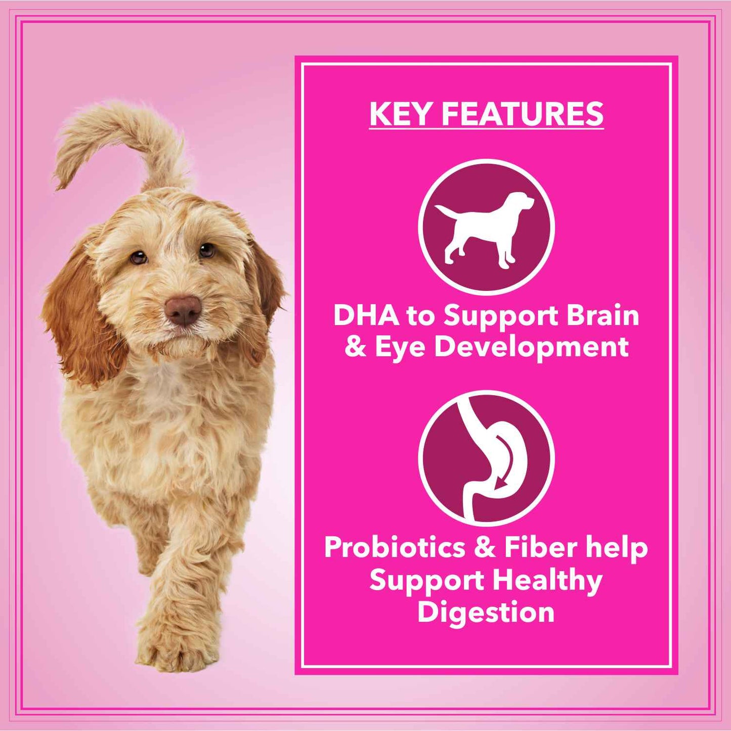 Let's Bite Active Adult | Dry Dog Food