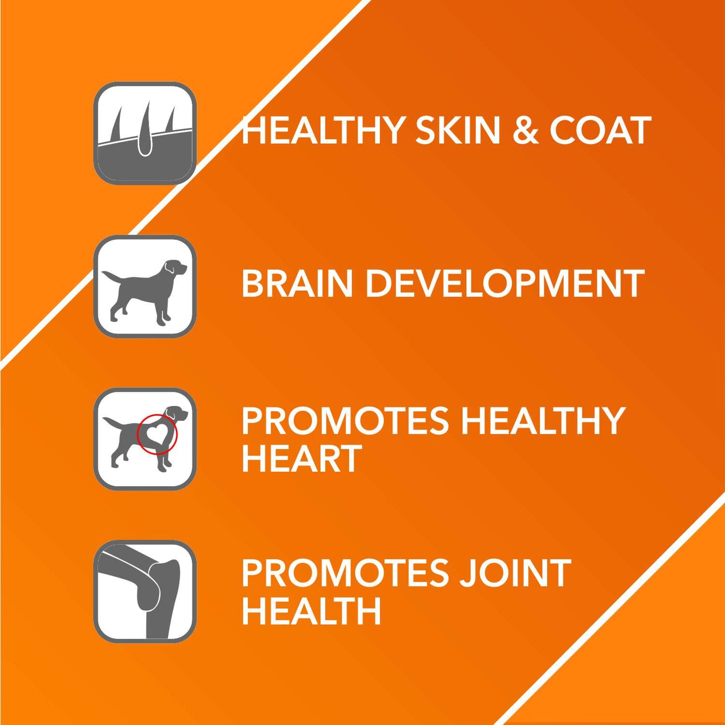 Drools Absolute Salmon Oil for Dogs