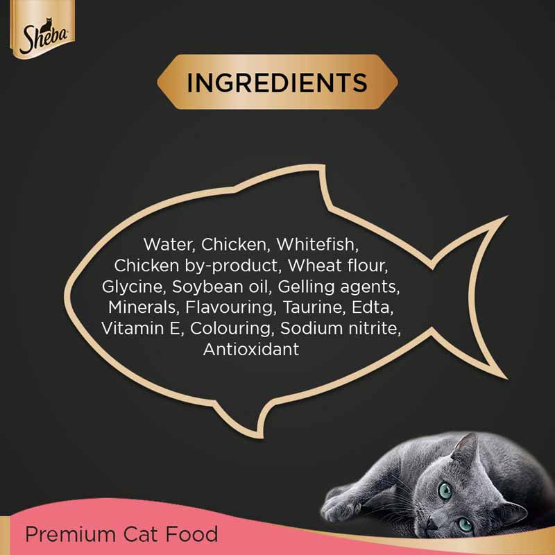 Sheba Kitten Chicken Loaf | Wet Cat Food