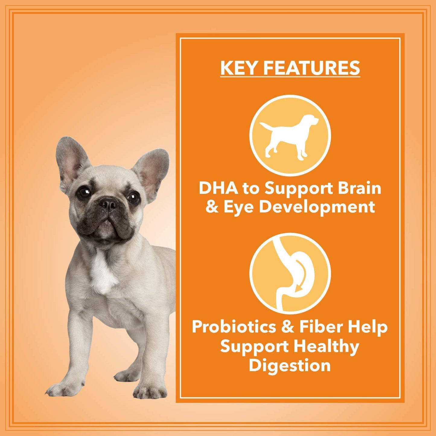 Let's Bite Active Puppy | Dry Dog Food