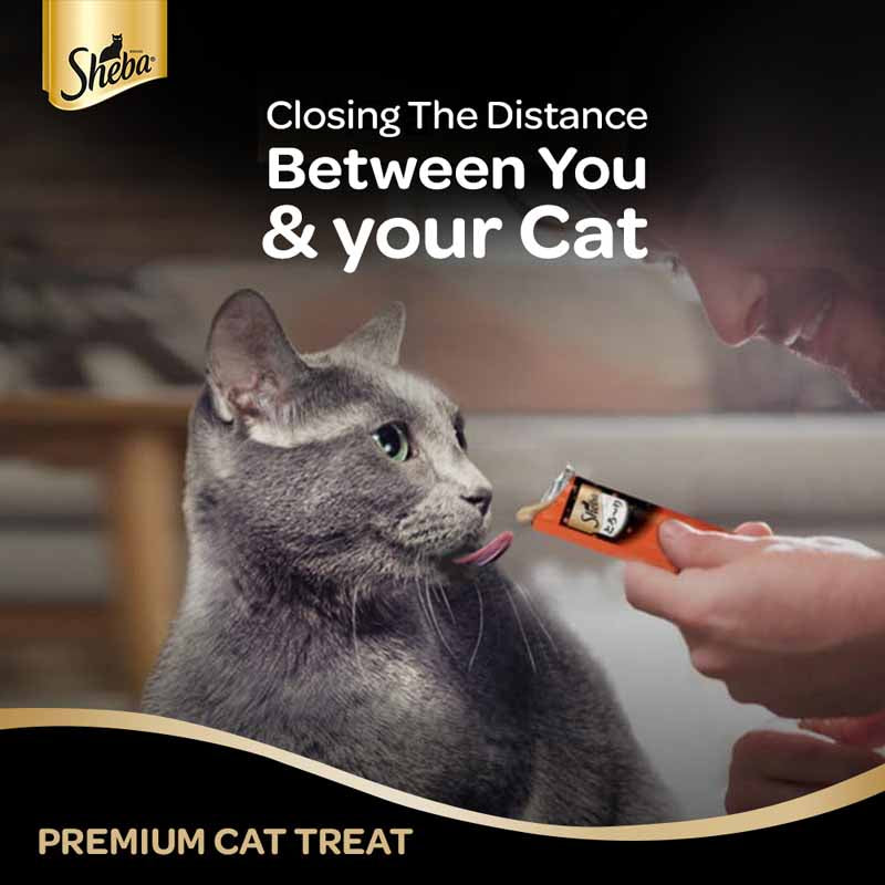 Sheba Maguro Selection | Wet Cat Treats