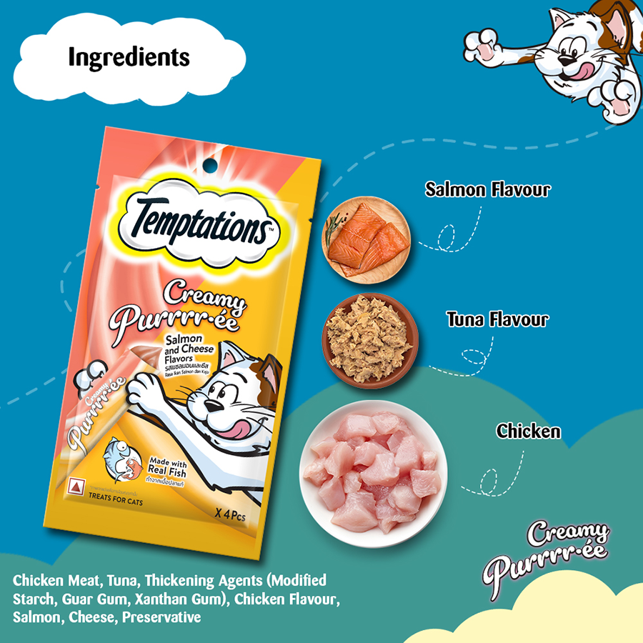 Temptation Creamy Treat Salmon & Cheese - 48 gm | Wet Cat Treats