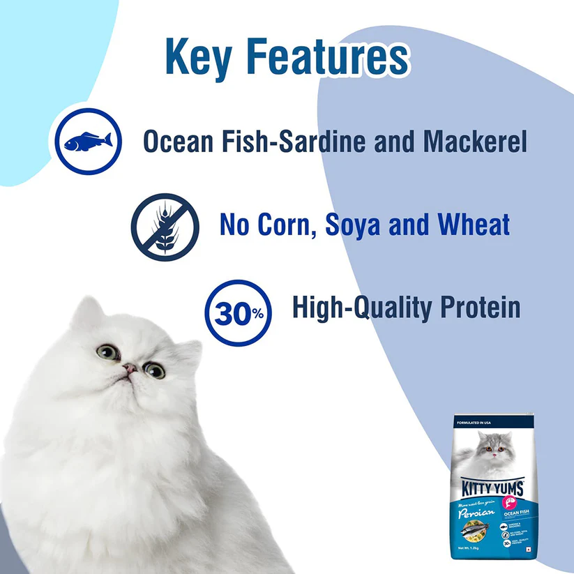 Kitty Yums Persian Adult Ocean Fish | Dry Cat Food