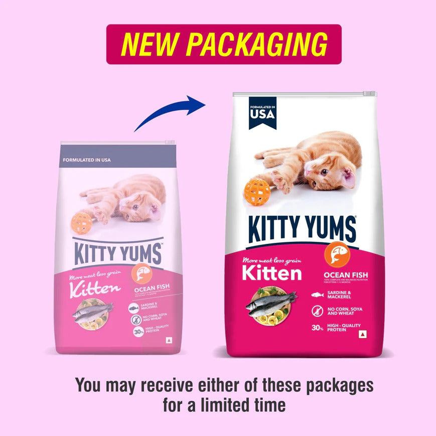 Kitty Yums Kitten Ocean Fish | Dry Cat Food