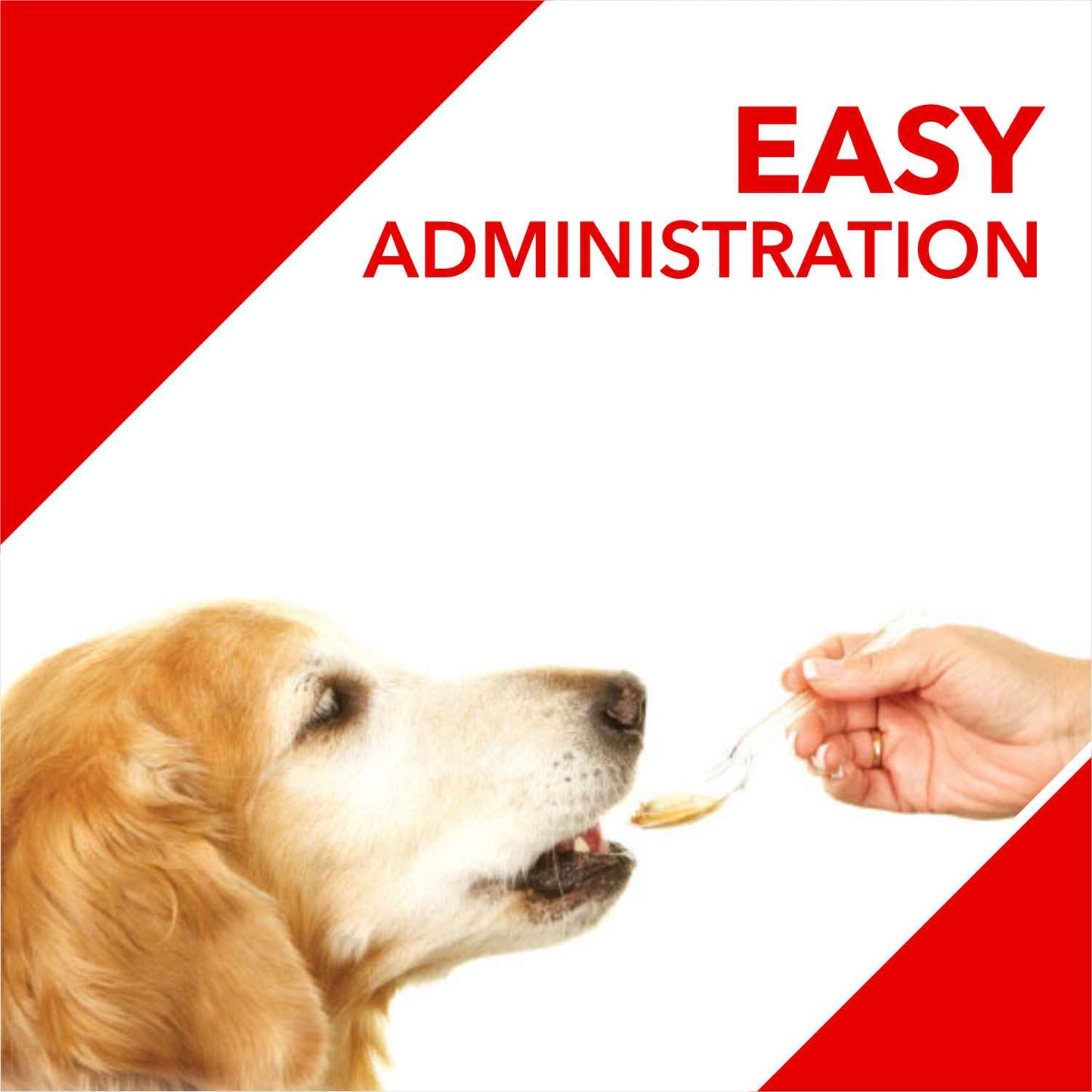 Drools Absolute Calcium Syrup | Dog Suppliments