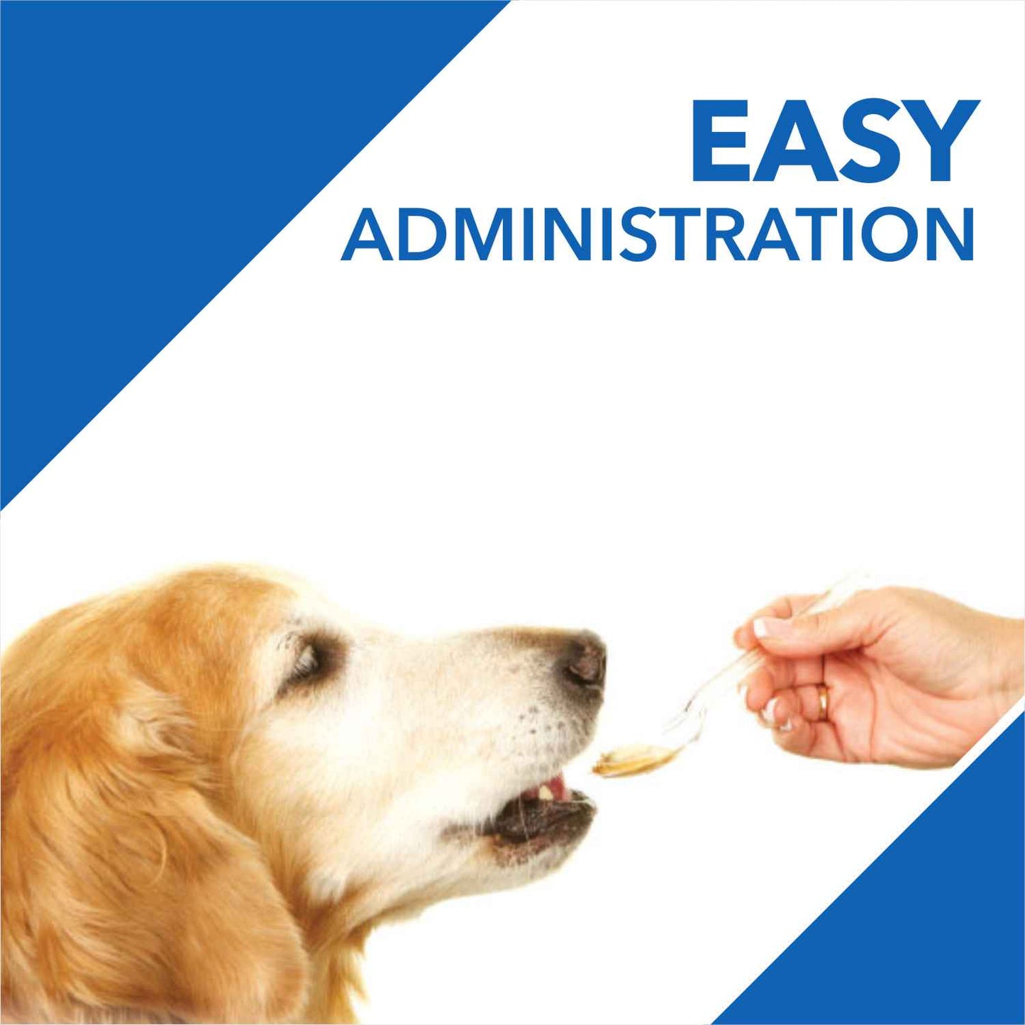 Drools Absolute Vitamin Syrup | Dog Suppliments