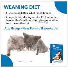 Drools Kitten Booster