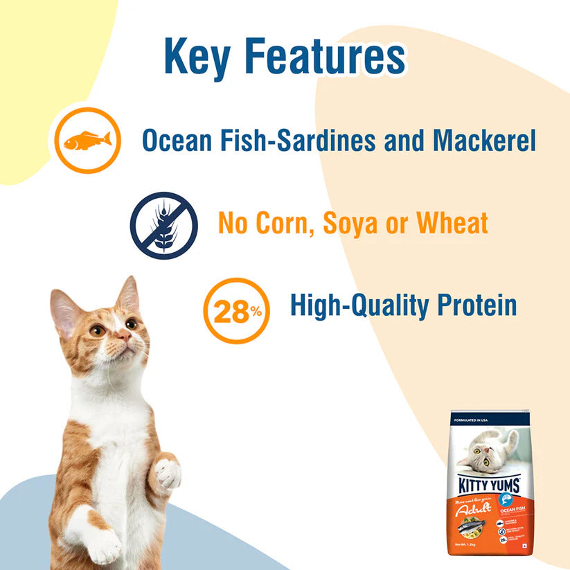 Kitty Yums Adult Ocean Fish | Dry Cat Food