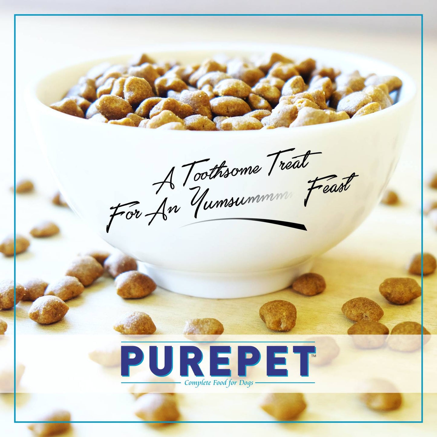 Purepet Kitten Ocean Fish | Dry Cat Food