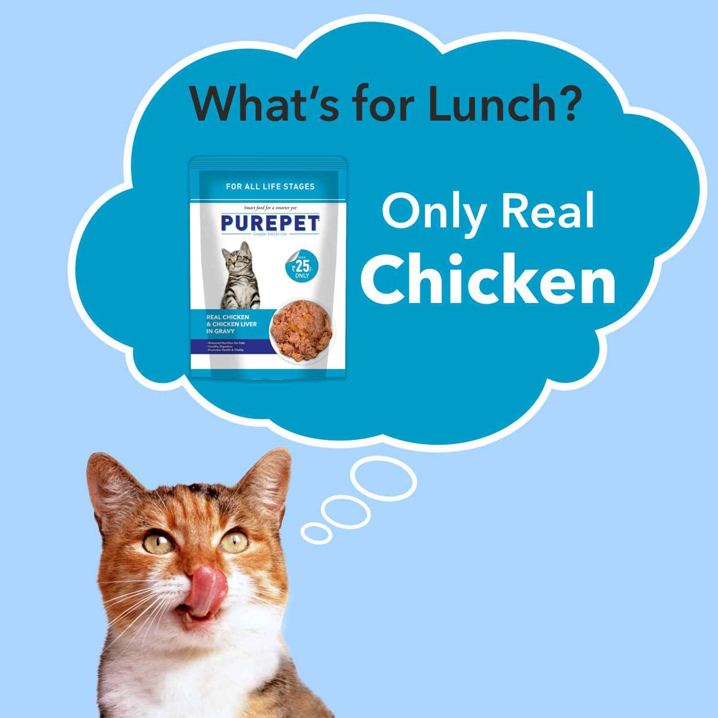 Purepet Cat Chicken & Liver Gravy | Wet Cat Food