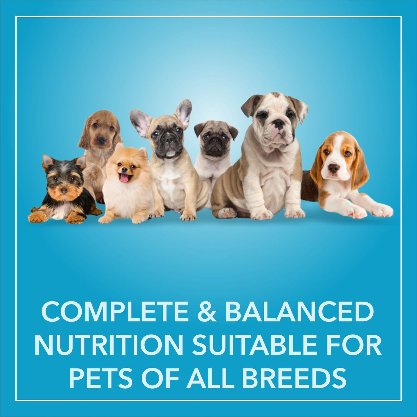 Purepet Puppy Chicken & Vegetable | Dry Dog Food