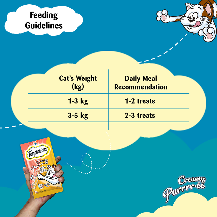 Temptation Creamy Treat Salmon & Cheese - 48 gm | Wet Cat Treats