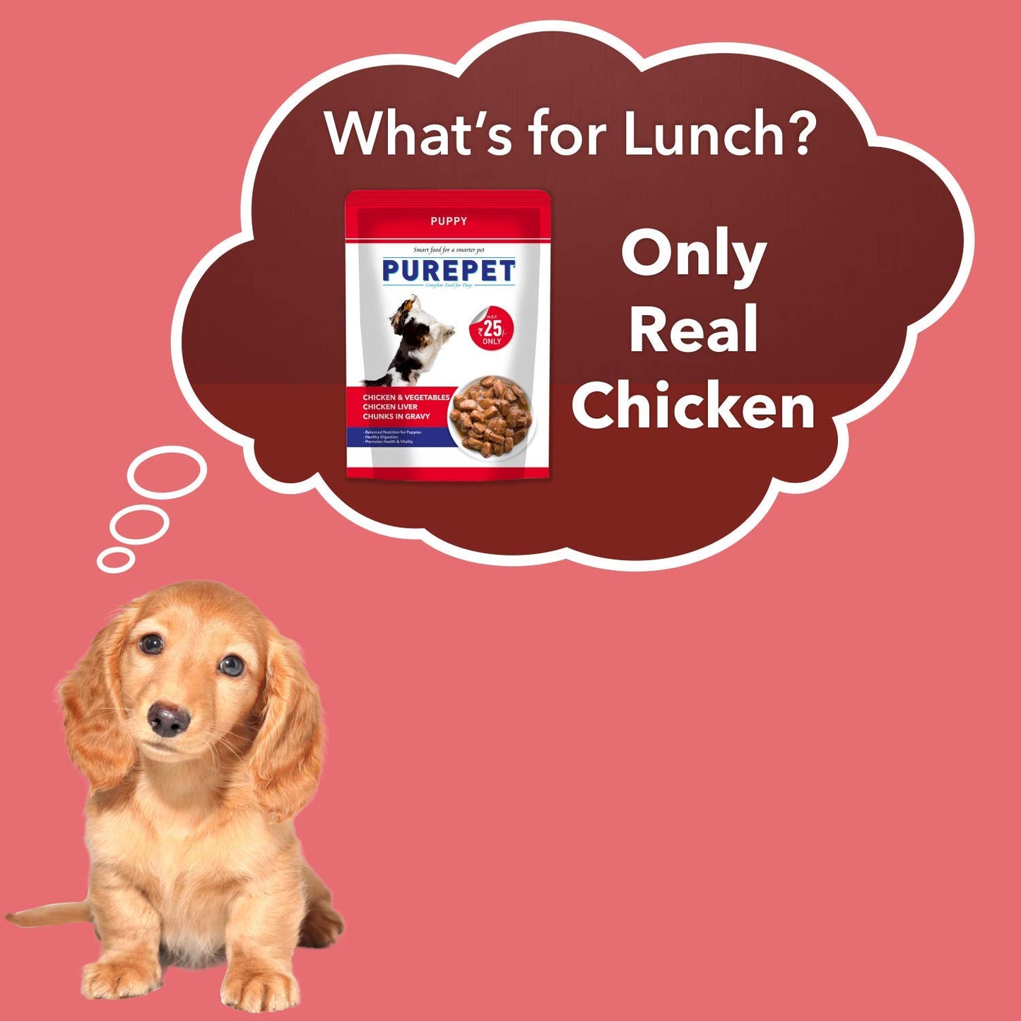 Purepet Chicken & Vegetable Puppy Gravy | Wet Dog Food