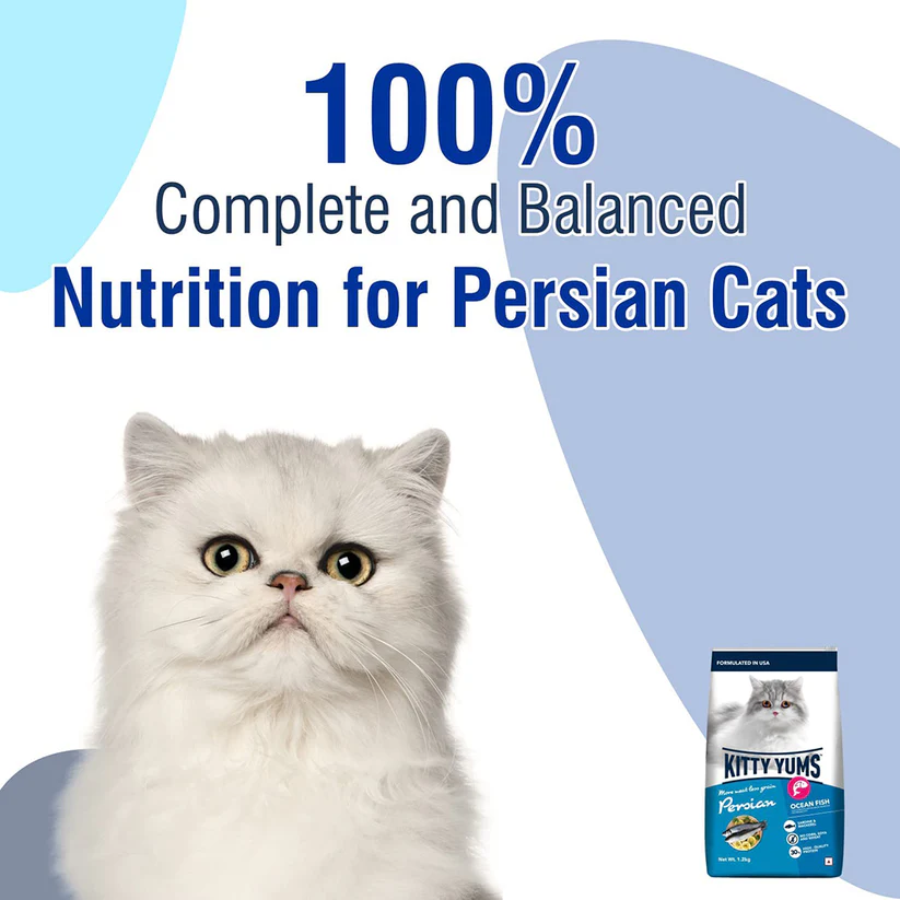 Kitty Yums Persian Adult Ocean Fish | Dry Cat Food