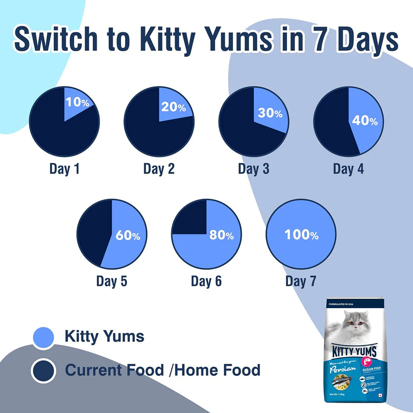 Kitty Yums Persian Adult Ocean Fish | Dry Cat Food