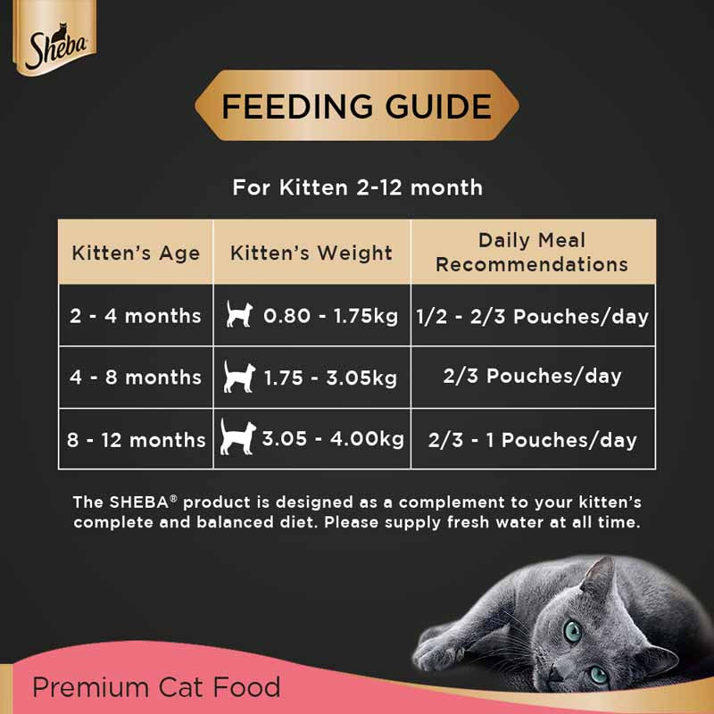 Sheba Kitten Chicken Loaf | Wet Cat Food