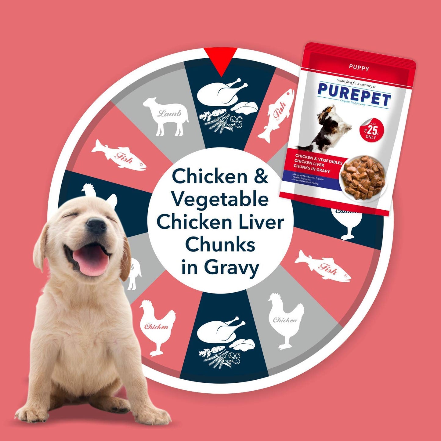 Purepet Chicken & Vegetable Puppy Gravy | Wet Dog Food