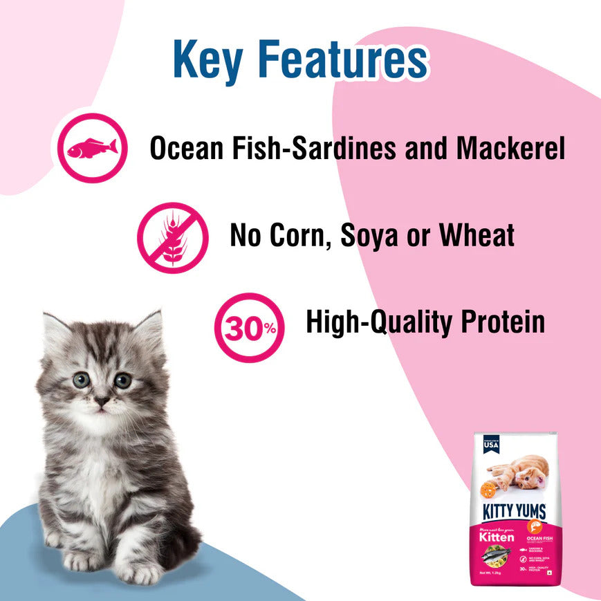 Kitty Yums Kitten Ocean Fish | Dry Cat Food