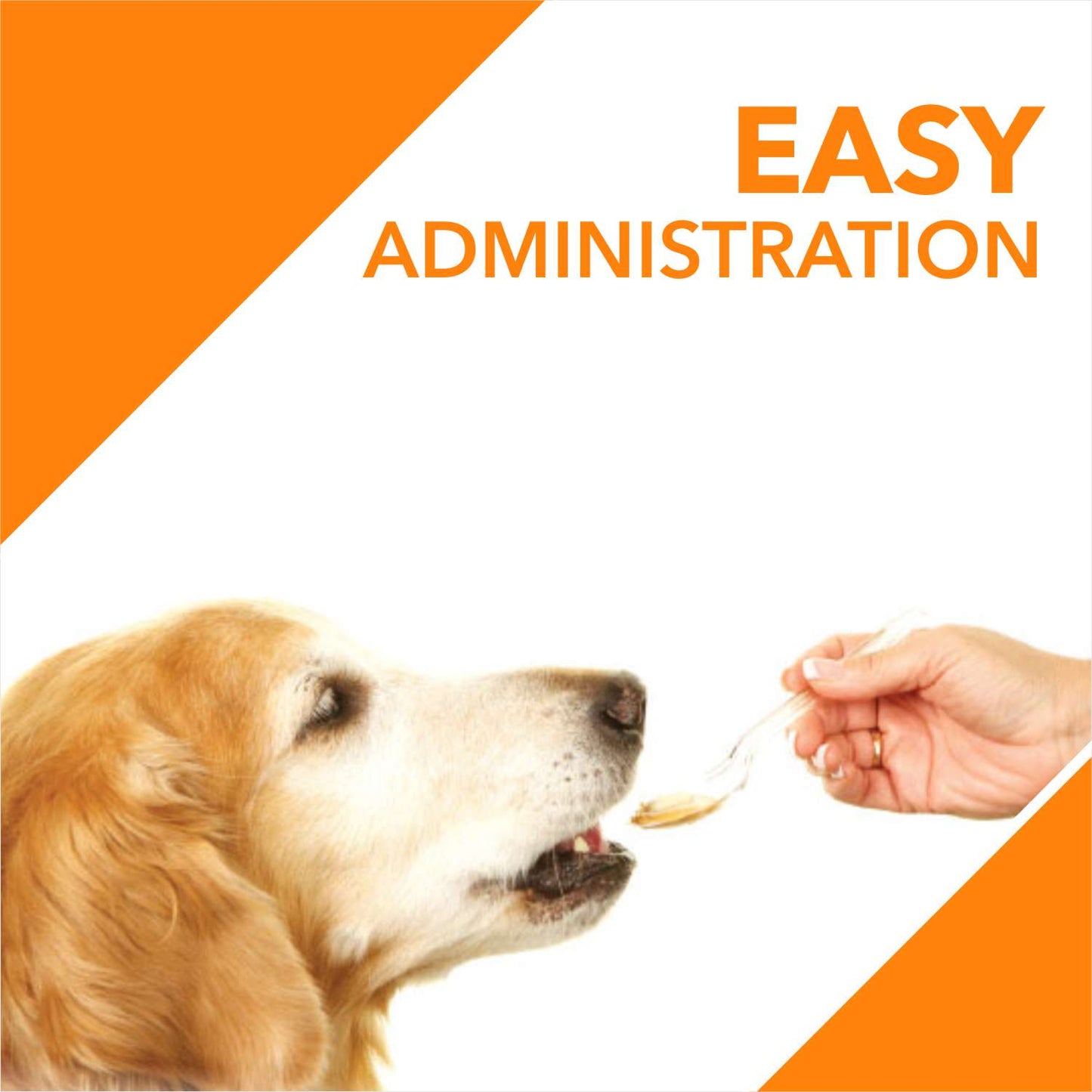 Drools Absolute Salmon Oil for Dogs