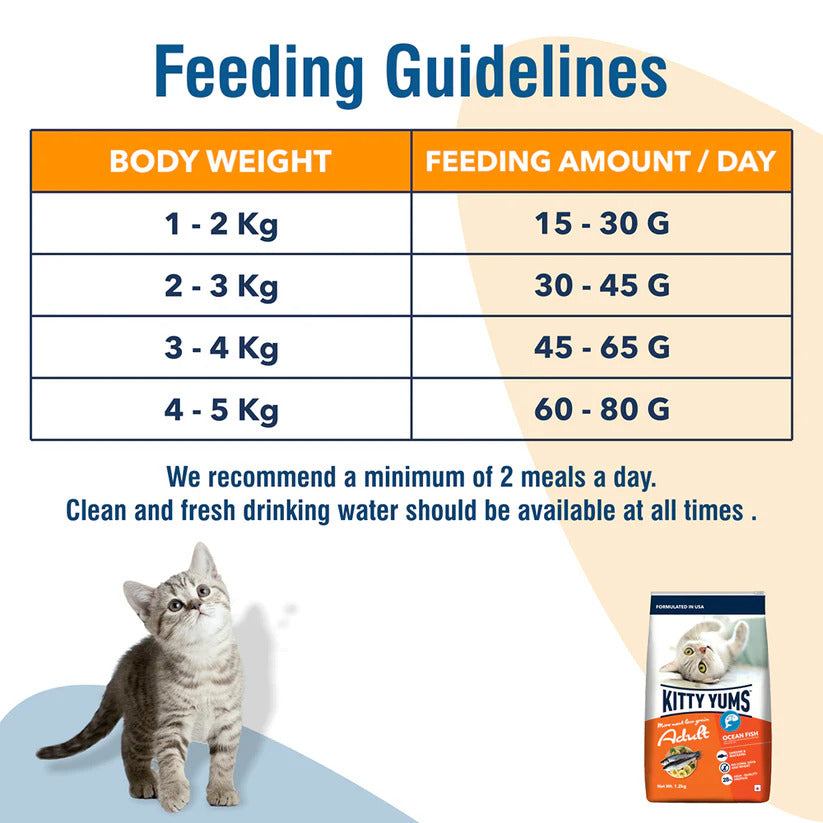 Kitty Yums Adult Ocean Fish | Dry Cat Food