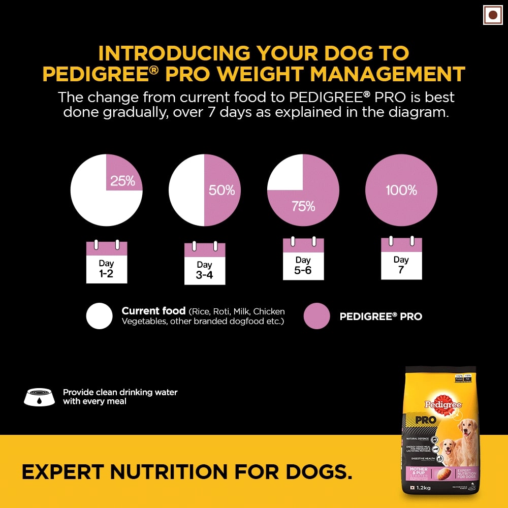 Pedigree Pro Starter | Dry Dog Food