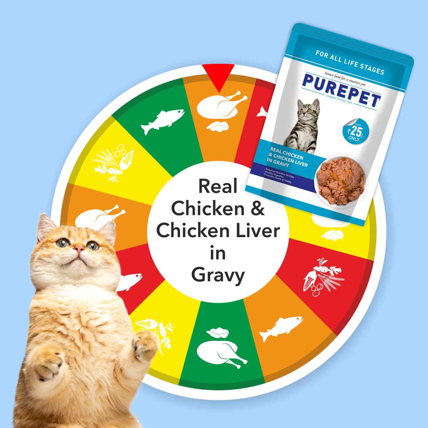 Purepet Cat Chicken & Liver Gravy | Wet Cat Food