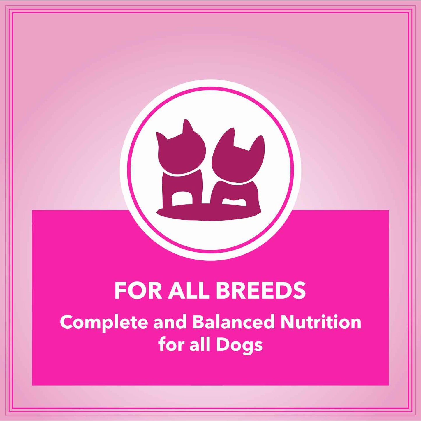 Let's Bite Active Adult | Dry Dog Food