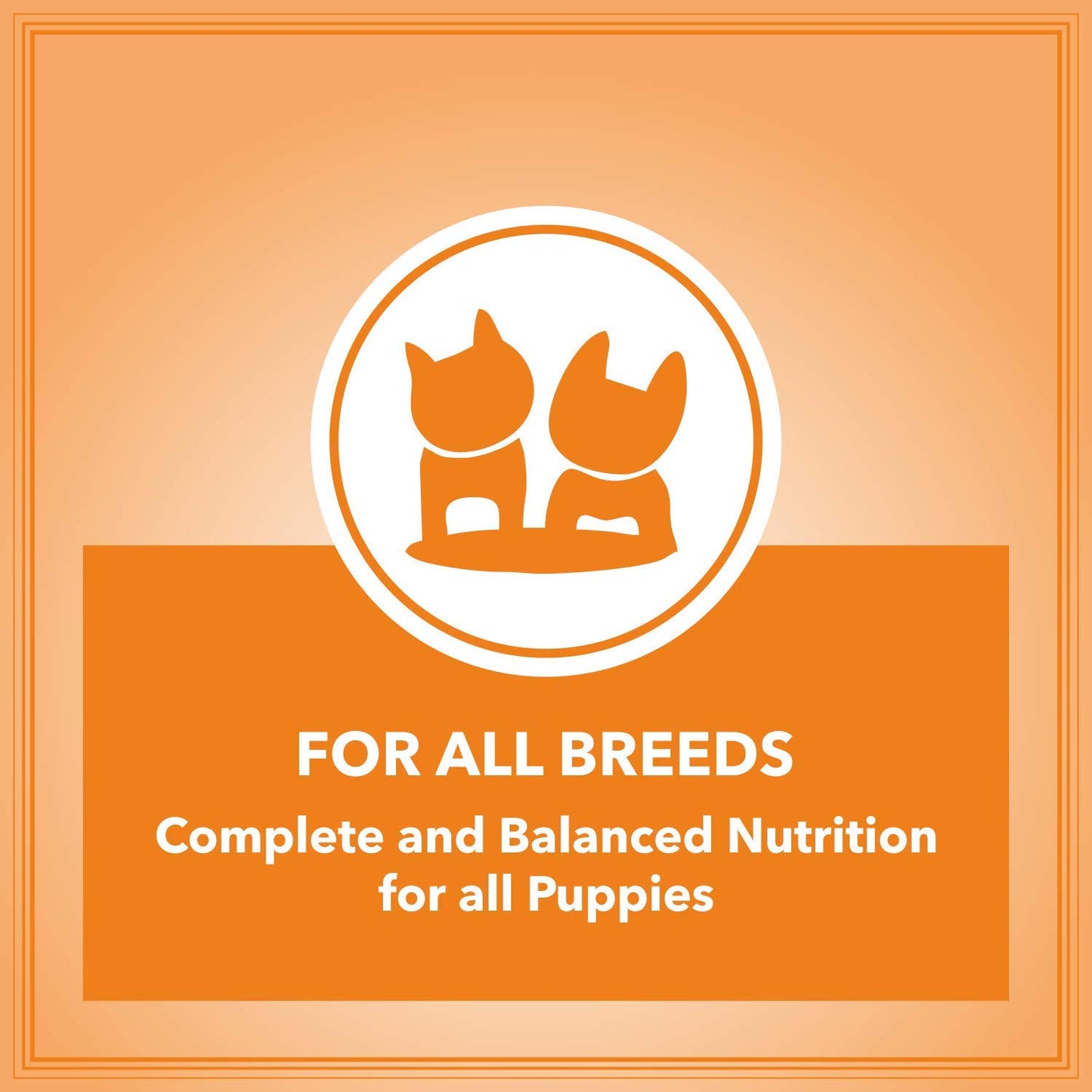 Let's Bite Active Puppy | Dry Dog Food