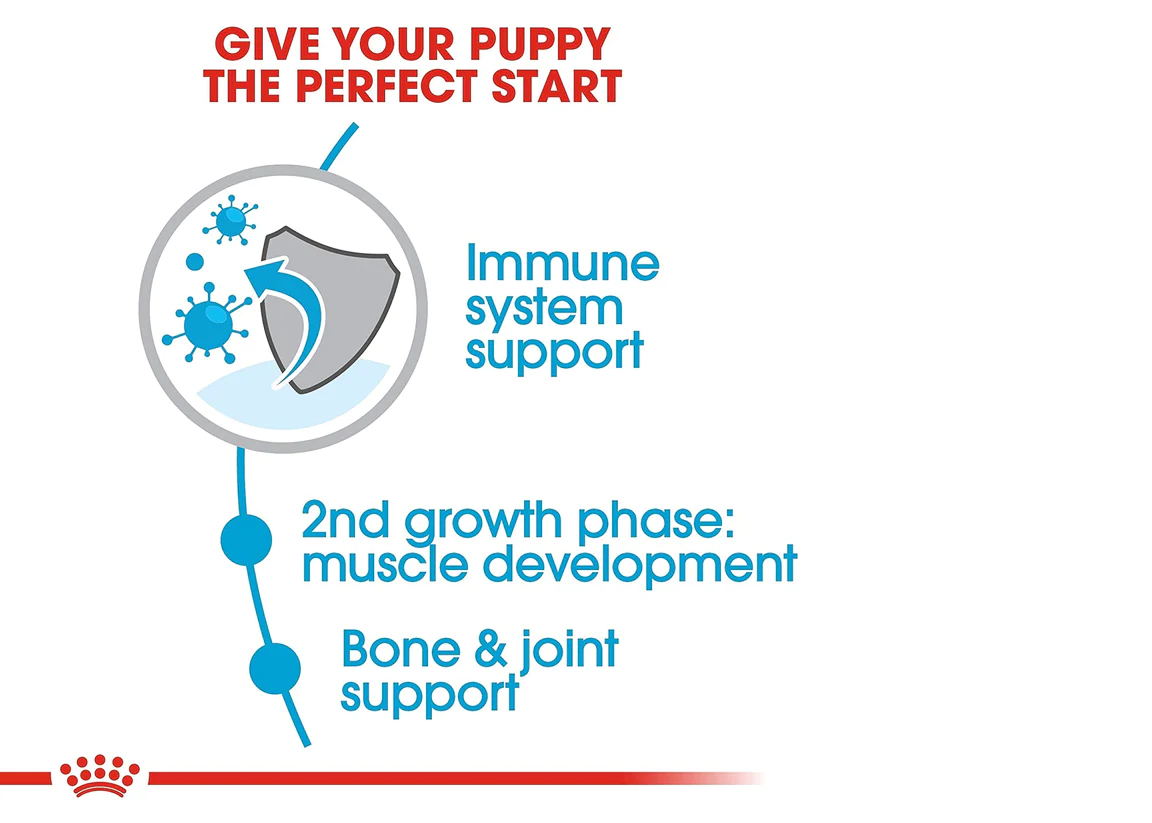 Royal Canin Giant Junior | Dry Dog Food