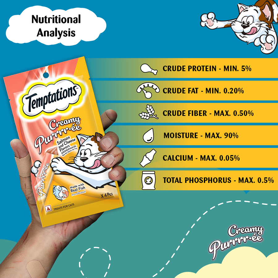 Temptation Creamy Treat Salmon & Cheese - 48 gm | Wet Cat Treats