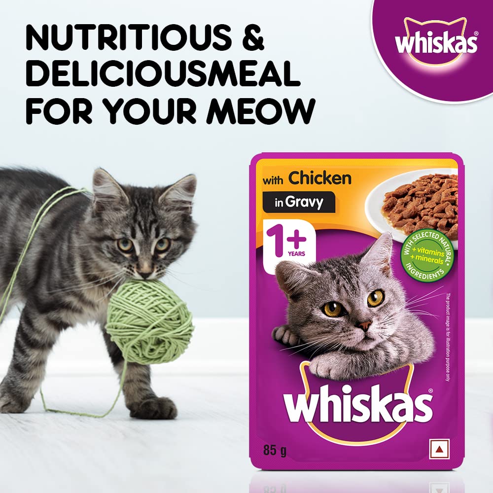 Whiskas Chicken Gravy | Wet Cat Food