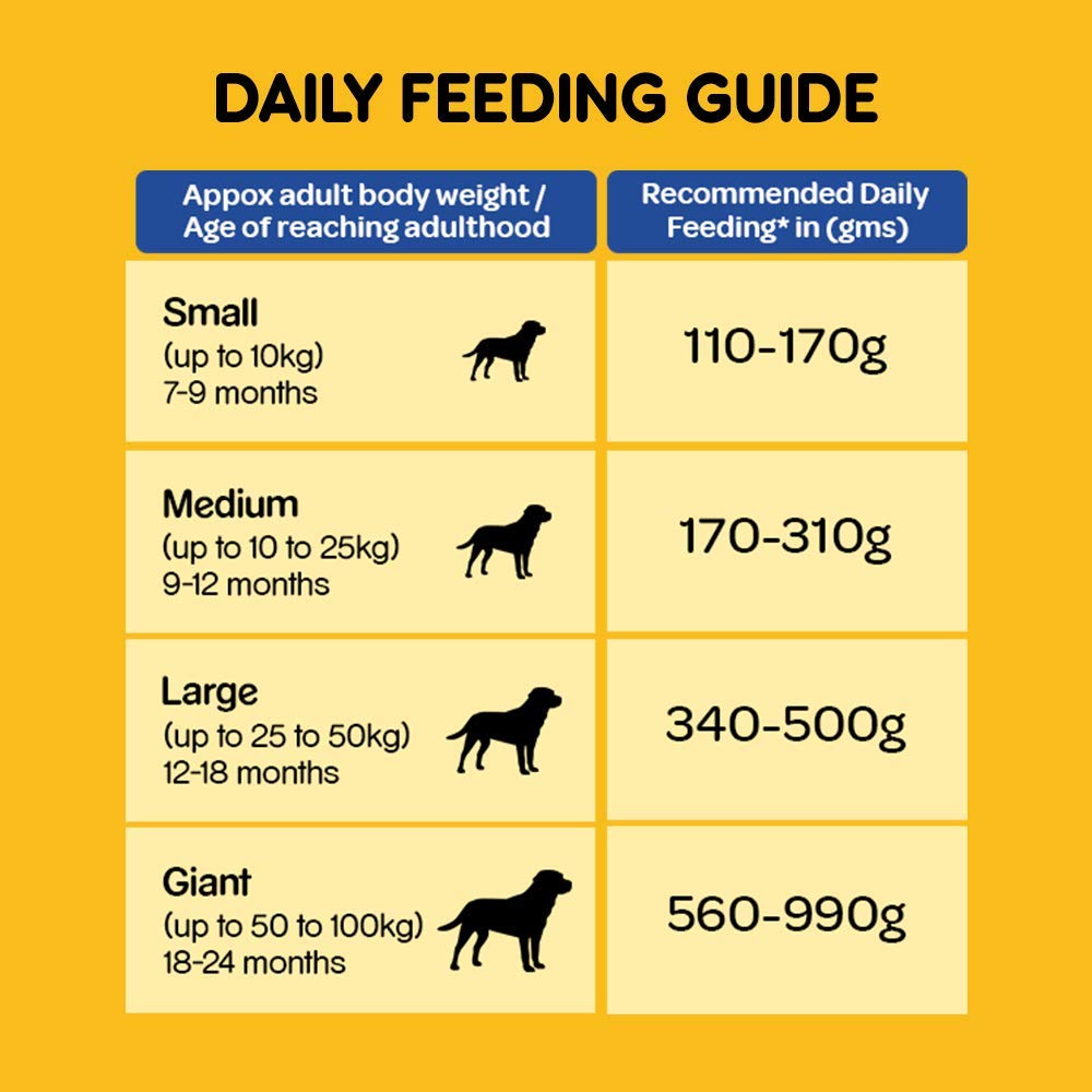 Pedigree Adult Chicken & Vegetable | Dry Dog Food