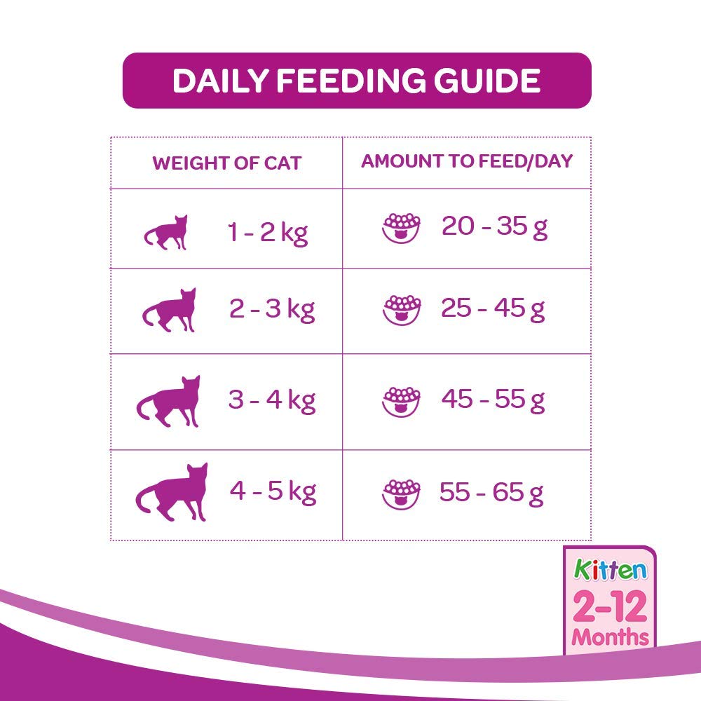 Whiskas Junior Ocean Fish & Milk | Dry Cat Food