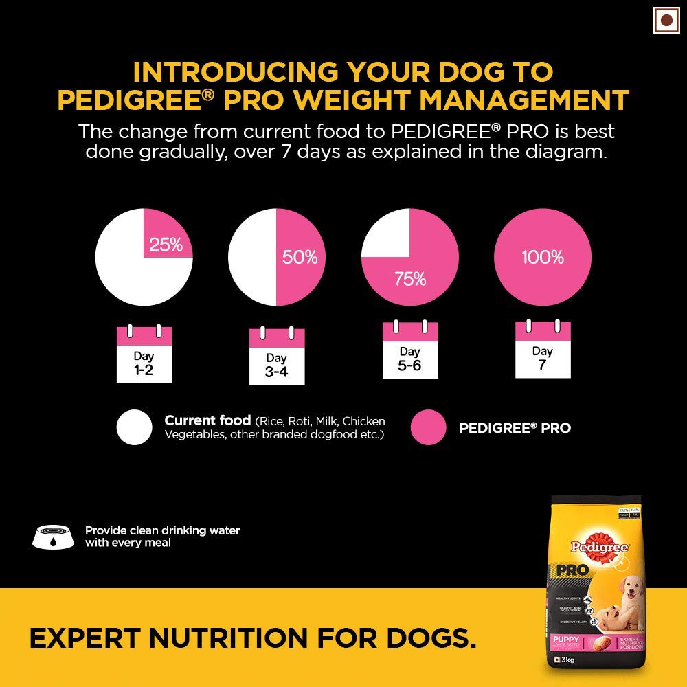 Pedigree Pro Puppy Large Breed | Dry Dog Food