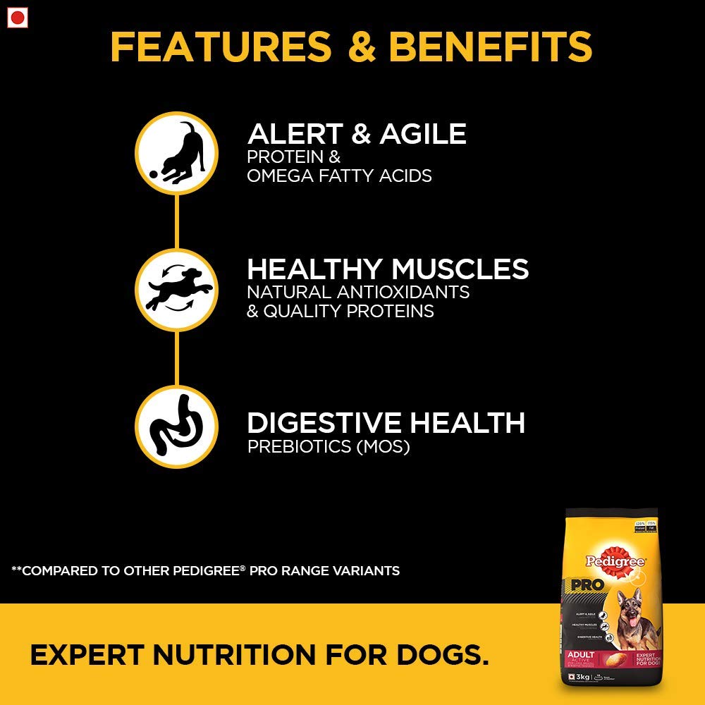 Pedigree Pro Adult Large Breed | Dry Dog Food