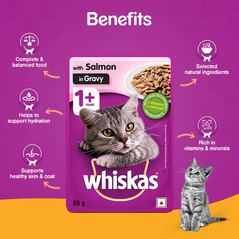 Whiskas Salmon Gravy | Wet Cat Food