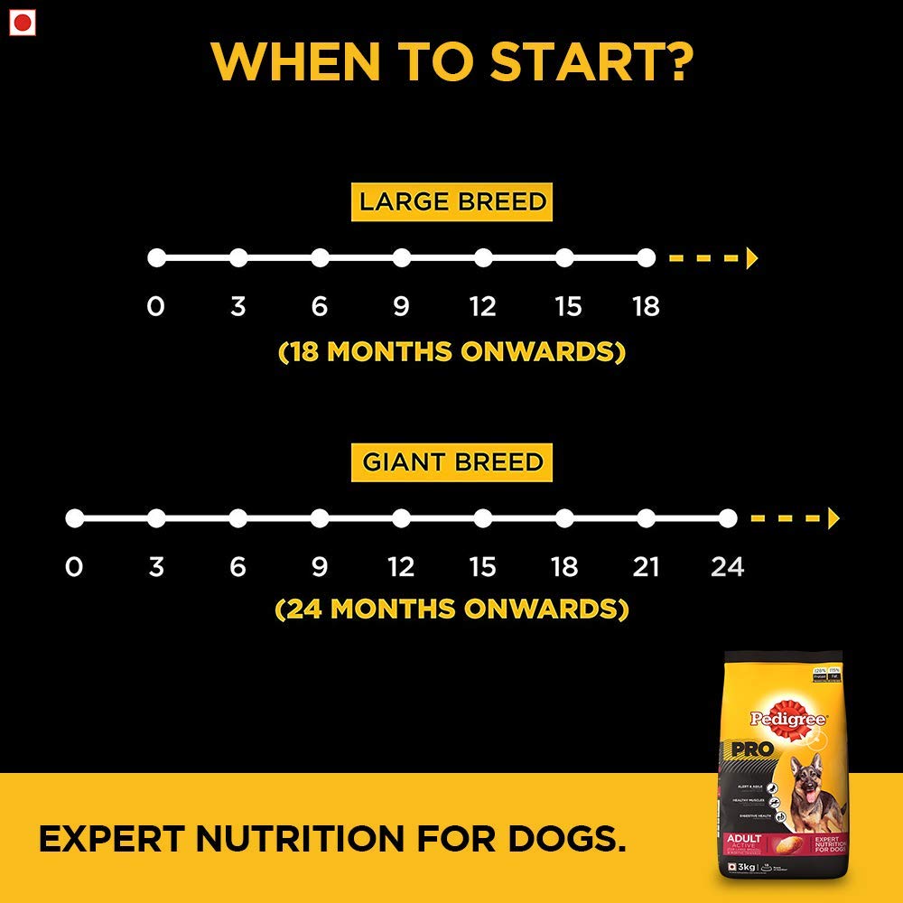 Pedigree Pro Adult Large Breed | Dry Dog Food