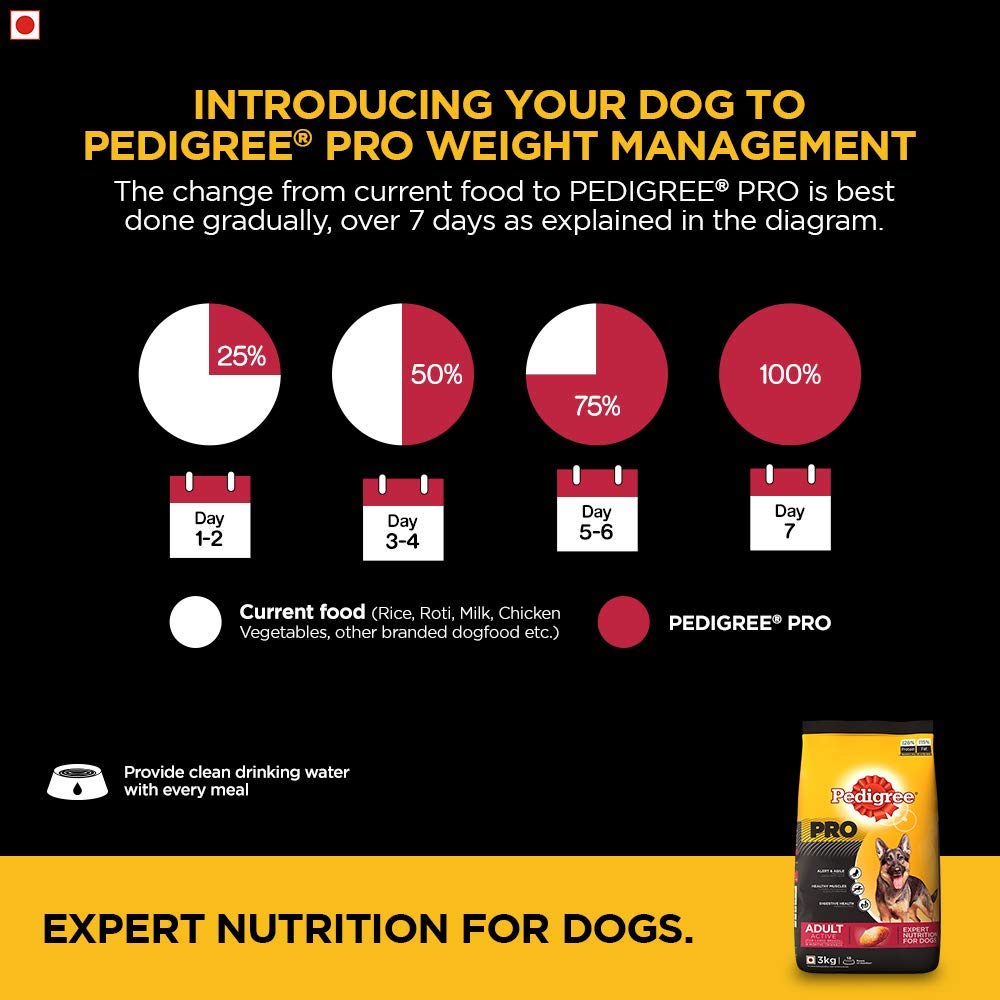 Pedigree Pro Adult Large Breed | Dry Dog Food
