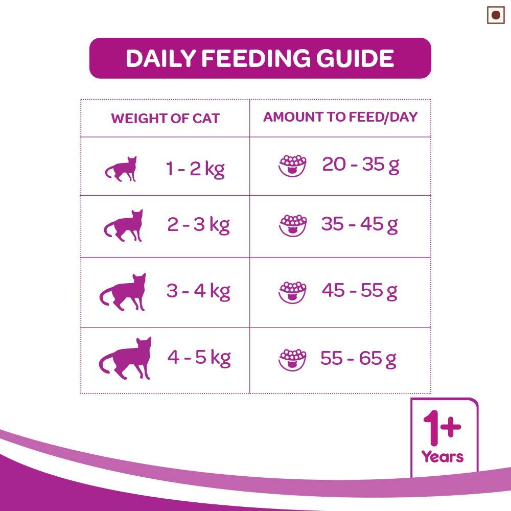 Whiskas Adult Mackerel | Dry Cat Food