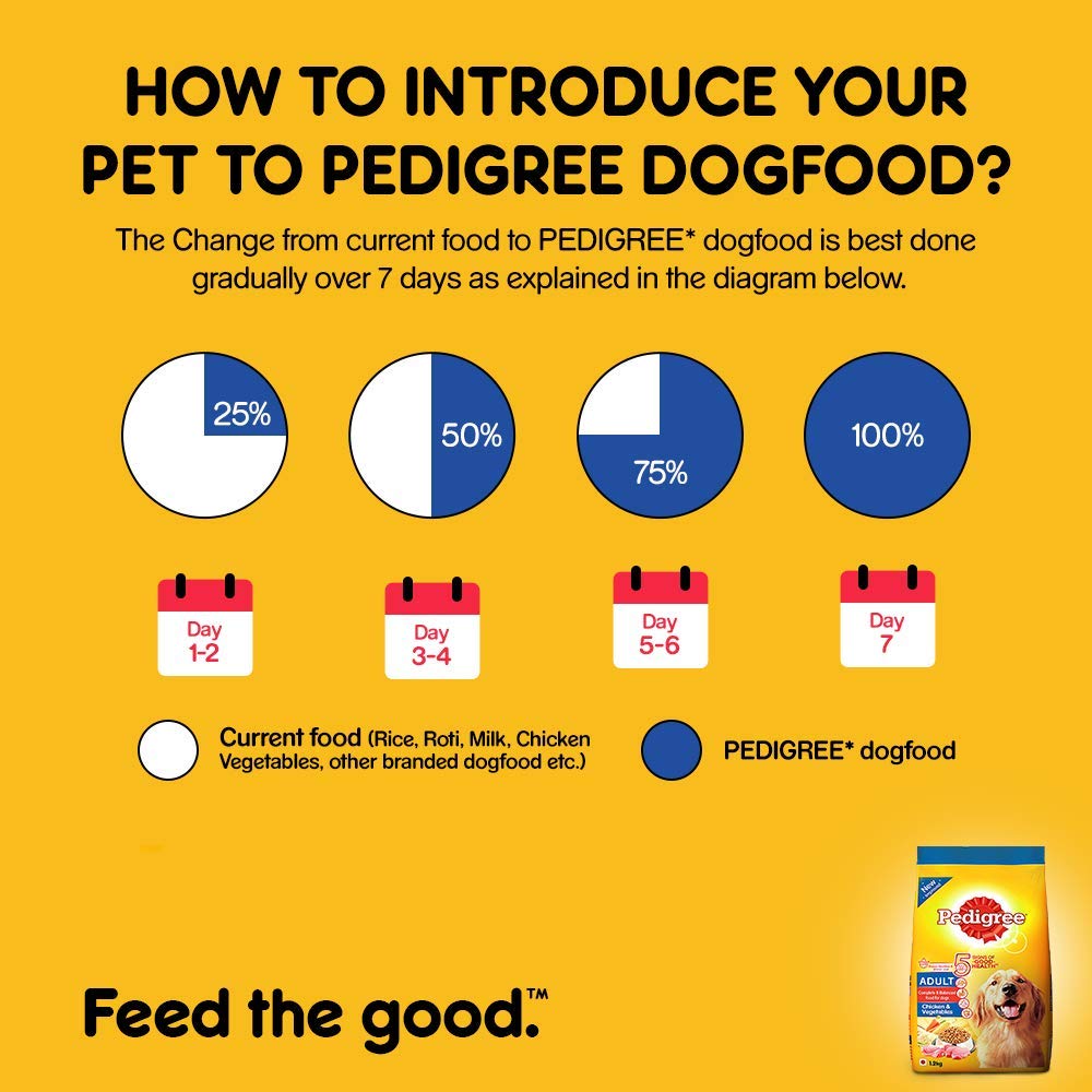 Pedigree Adult Chicken & Vegetable | Dry Dog Food
