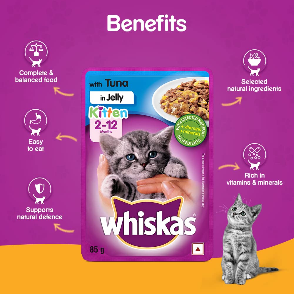Whiskas Kitten Tuna Jelly | Wet Cat Food