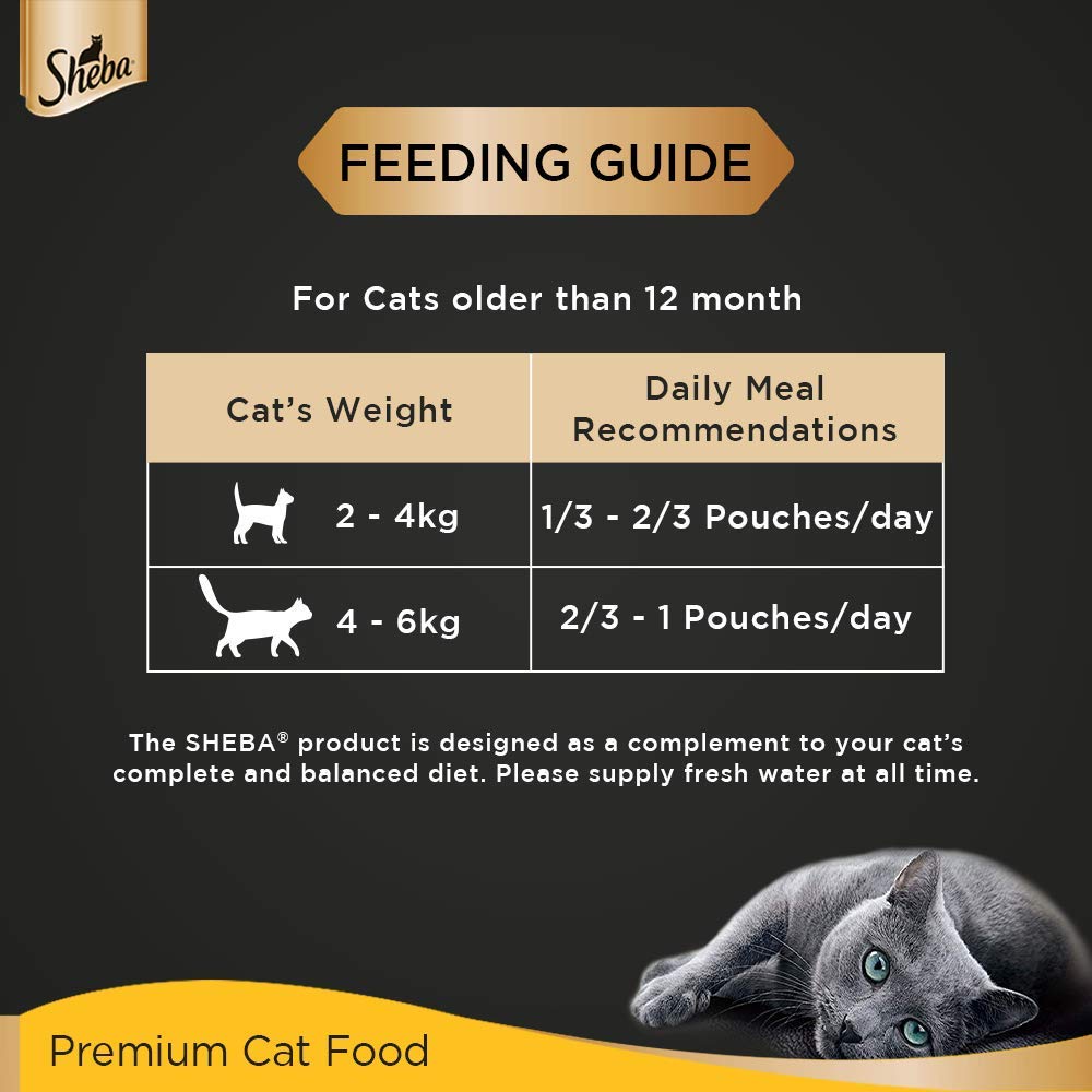 Sheba Tuna Pumpkin & Carrot | Wet Cat Food